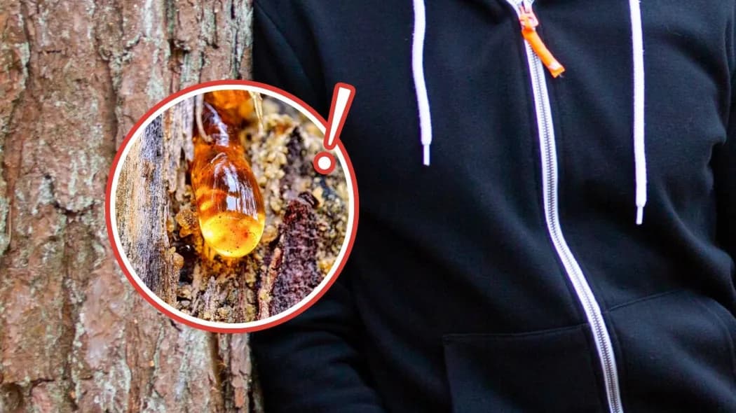 Skuteczne Pranie Ubrań z Żywicą: Jak Usunąć Plamy Żelazkiem?